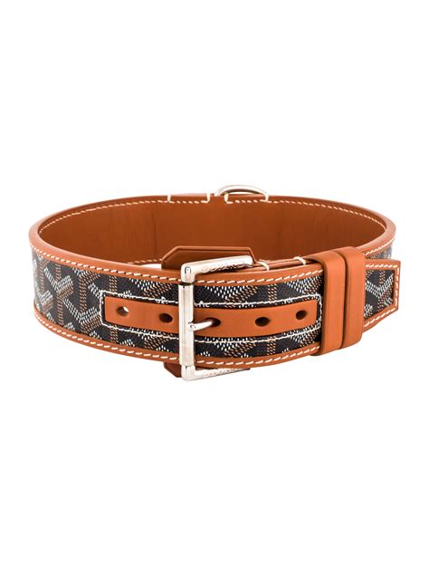 collier goyard chien